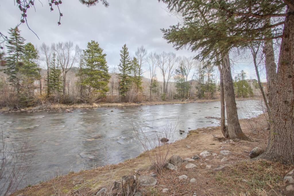 Cozy- Mountain Style - River View Apartment - Colorado Силверторн Экстерьер фото